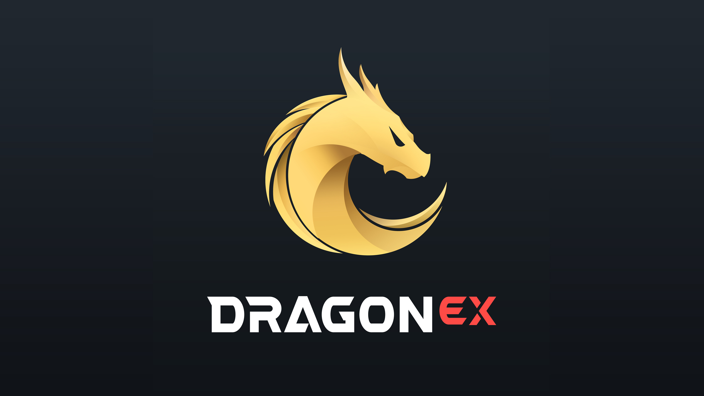 DragonExÁúÍøÉçȺ¡°Í²۴ó»á¡±£¬CE