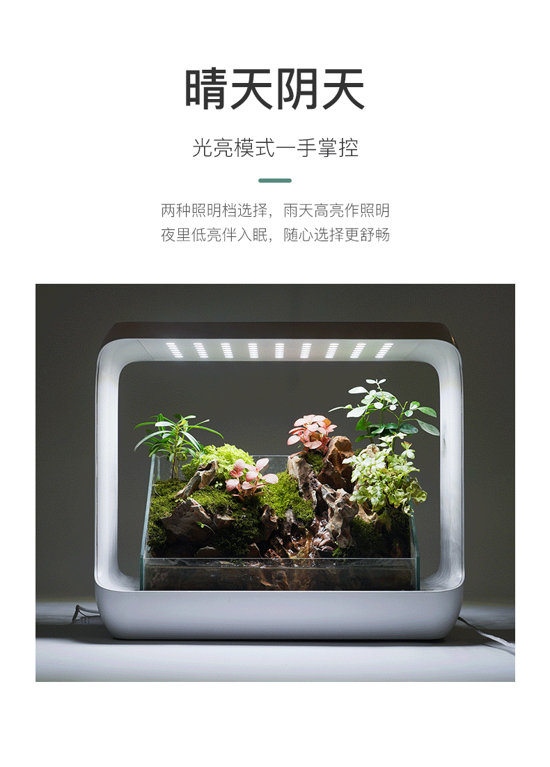 植有品智能微景观现已正式登陆京东众筹!