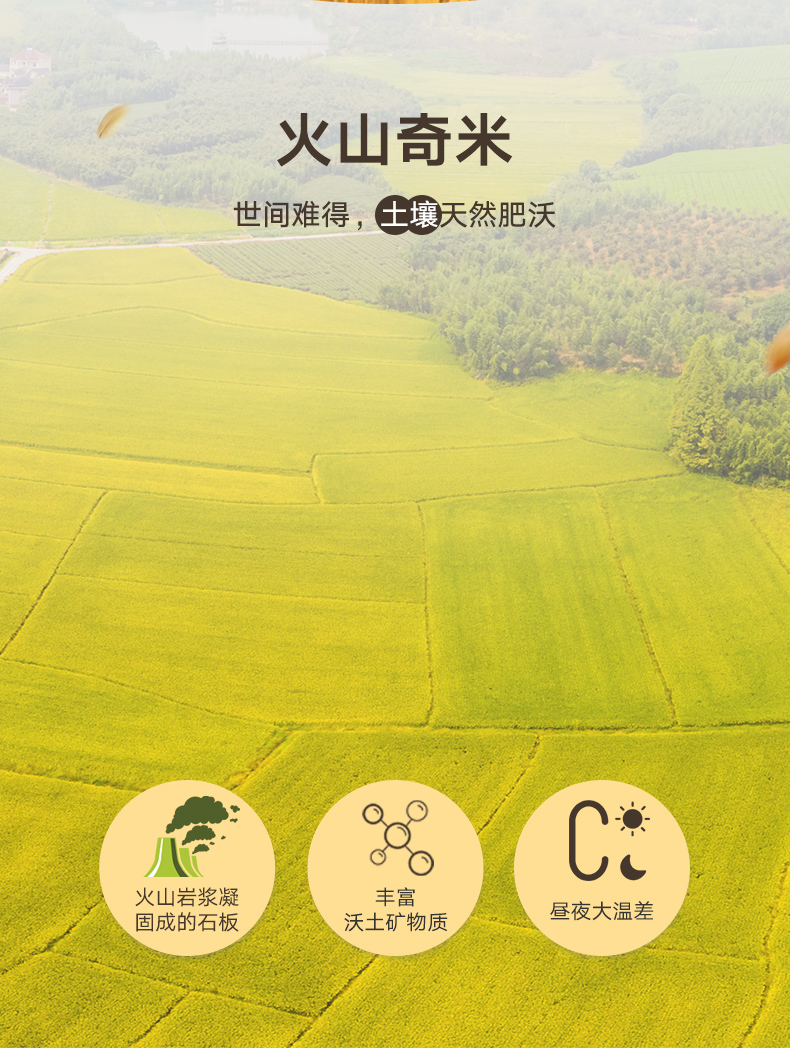 大米_03.jpg